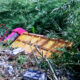 Incidente Statale 18 Fuscaldo