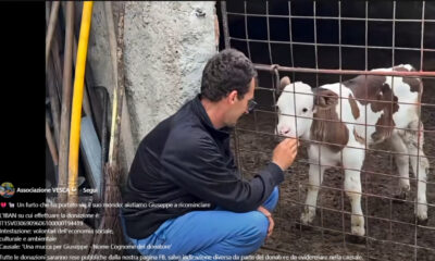 Longobucco-giuseppe-ragazzo-autistico-solidarieta