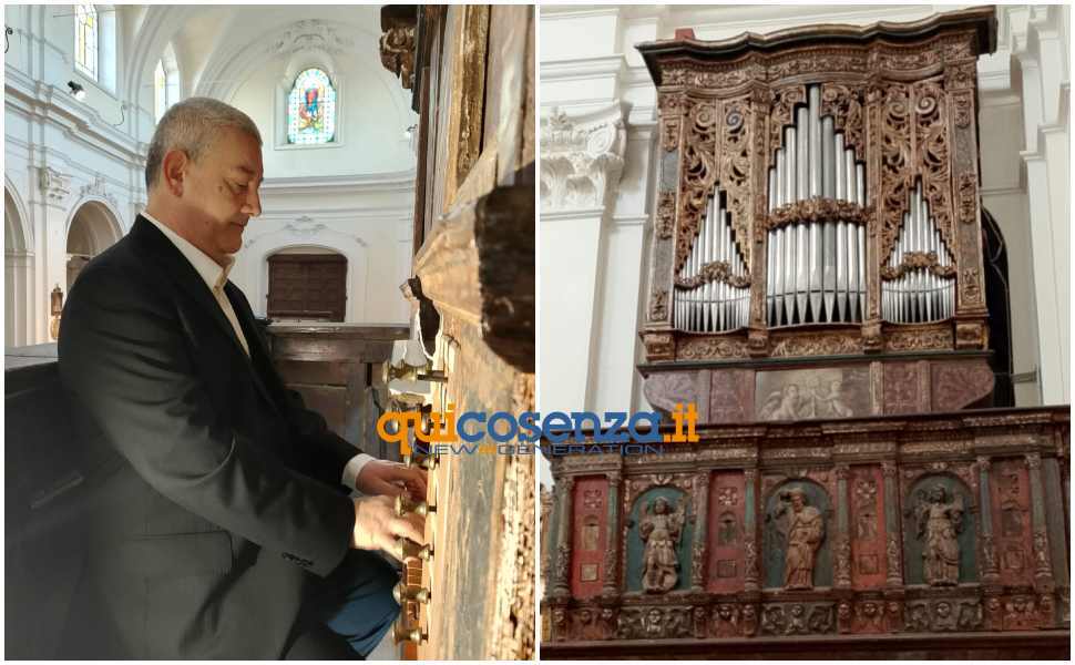 Mormanno_organo