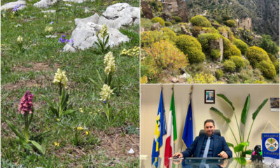 Piano nazionale di ripristino della natura Calabria - Montuoro