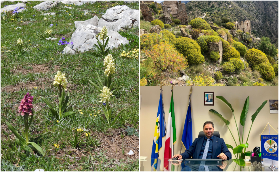 Piano nazionale di ripristino della natura Calabria - Montuoro