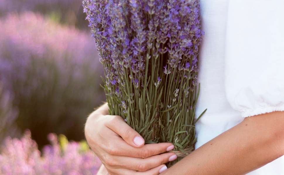 “Profumo di Mamma” torna a Cosenza: solidarietà e sostegno alle fragilità prenatali 53 Profumo di mamma il cuore in una goccia - Lavanda 02
