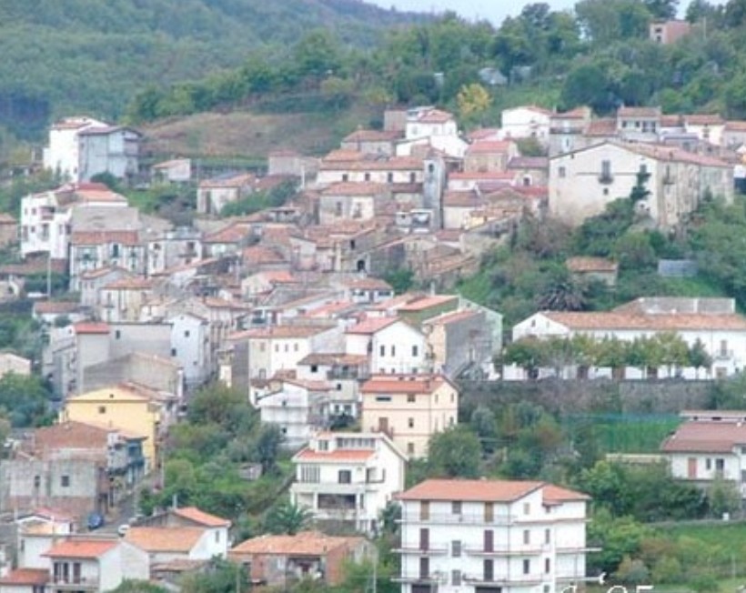 TAR Calabria annulla l’esclusione di una ditta da gara per malfunzionamento piattaforma