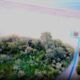 Sequestro resort sibari finanza 01