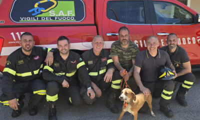 Vigili del fuoco Cosenza salvataggio Domanico