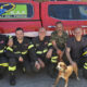 Domanico: precipita in un burrone per recuperare il suo cane. Entrambi salvati dai vigili del fuoco 168 Vigili del fuoco Cosenza salvataggio Domanico
