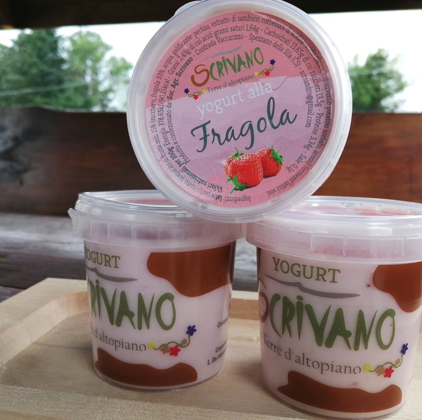 Yogurt2