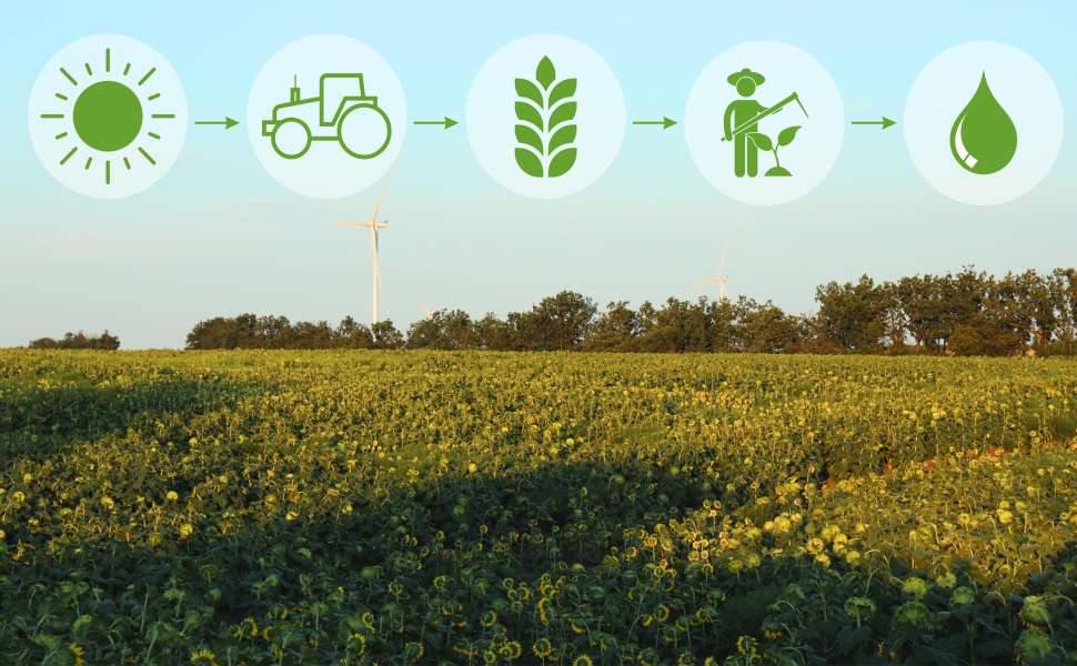 agricoltura sostenibile - giornate informative calabria 03