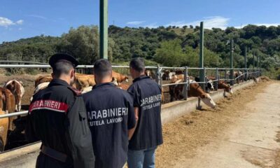 carabinieri sersale operai nero capannone