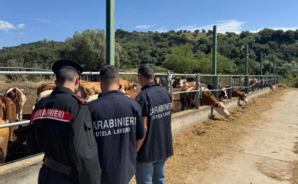 carabinieri sersale operai nero capannone