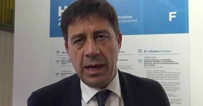 domenico-pallaria-1