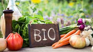 cibo bio