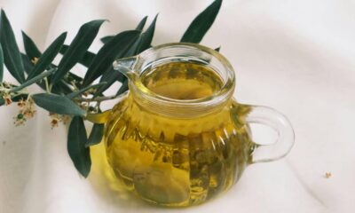olio oliva calabria coldiretti