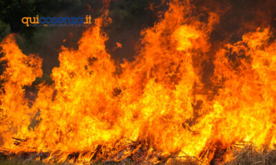 incendi forestali cisl