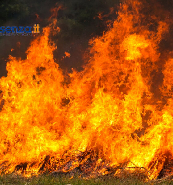 incendi forestali cisl