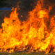 incendi forestali cisl