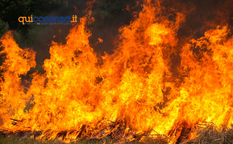 incendi forestali cisl