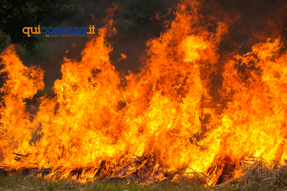 incendi forestali cisl