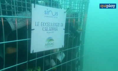 San Nicola Arcella, al via il cantinamento subacqueo del progetto Siner Underwater Wines