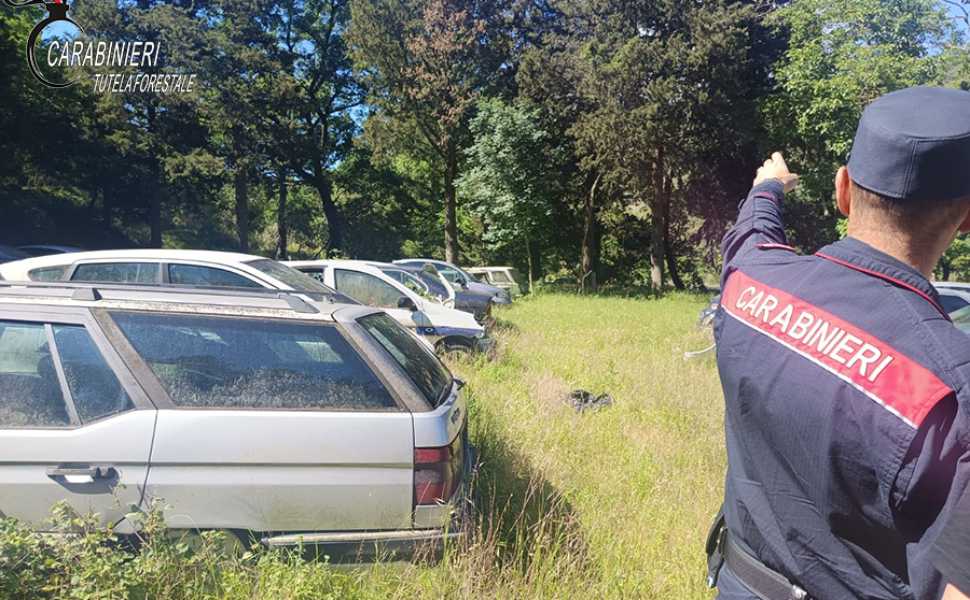sequestro morano carabinieri forestali 03