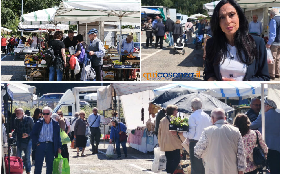 stellato assessore Mercafo di Rende