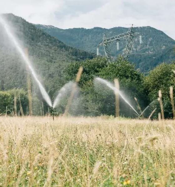 Acqua_energia_Cia