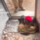 Scoperto un bunker segreto con un tunnel di fuga lungo 120 metri: un labirinto sotterraneo 66 Bunker sotterraneo 120 metri 05