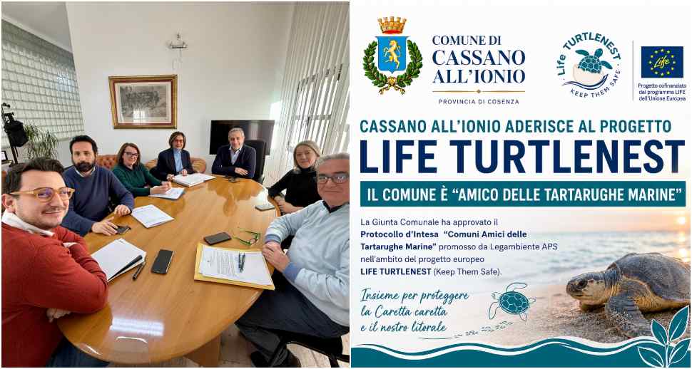 Cassano Ionio diventa “Comune Amico delle Tartarughe”: accordo per proteggere la Caretta caretta 53 Cassano Ionio tartarughe