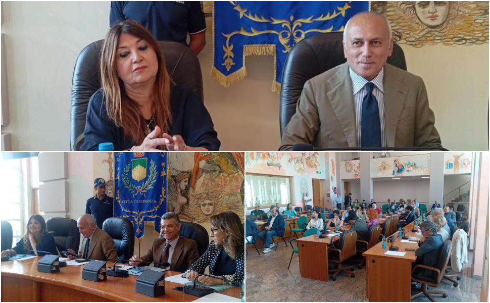 Consiglio comunale welfare cosenza 04