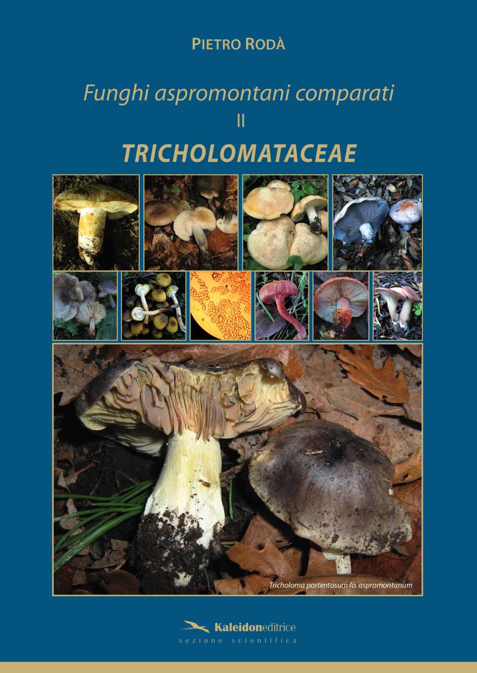 Identificata una nuova forma di fungo mai descritta prima, grazie al micologo Pietro Rodà 53 Fungo Copertina libro-TRICHOLOMATACEAE Rodà