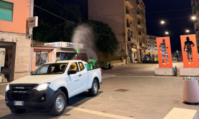 disinfestazione adulticida_Cosenza