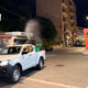 disinfestazione adulticida_Cosenza
