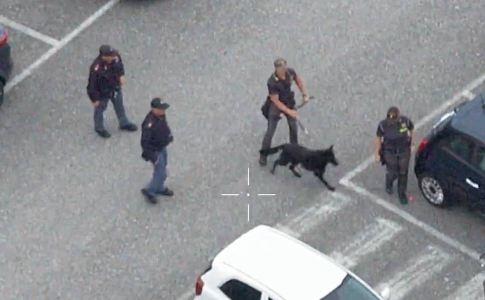 Investimenti finti: dal rifugio per cani alle spedizioni punitive, 9 misure cautelari anche in Calabria 53 Falsi investimenti - truffe - Polizia Guardia finanza 01Falsi investimenti - truffe - Polizia Guardia finanza 01