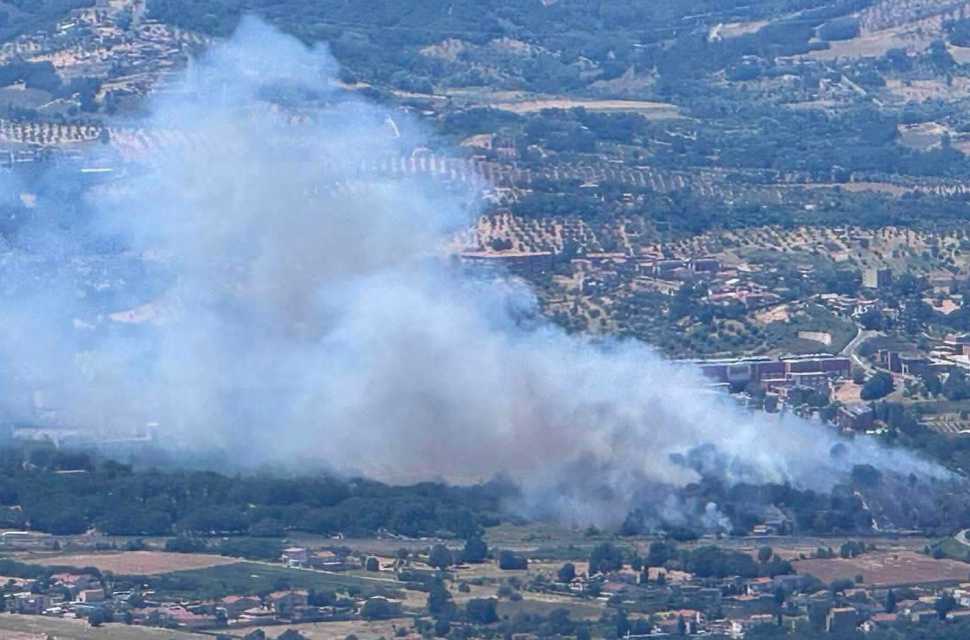Fiamme Unical 2