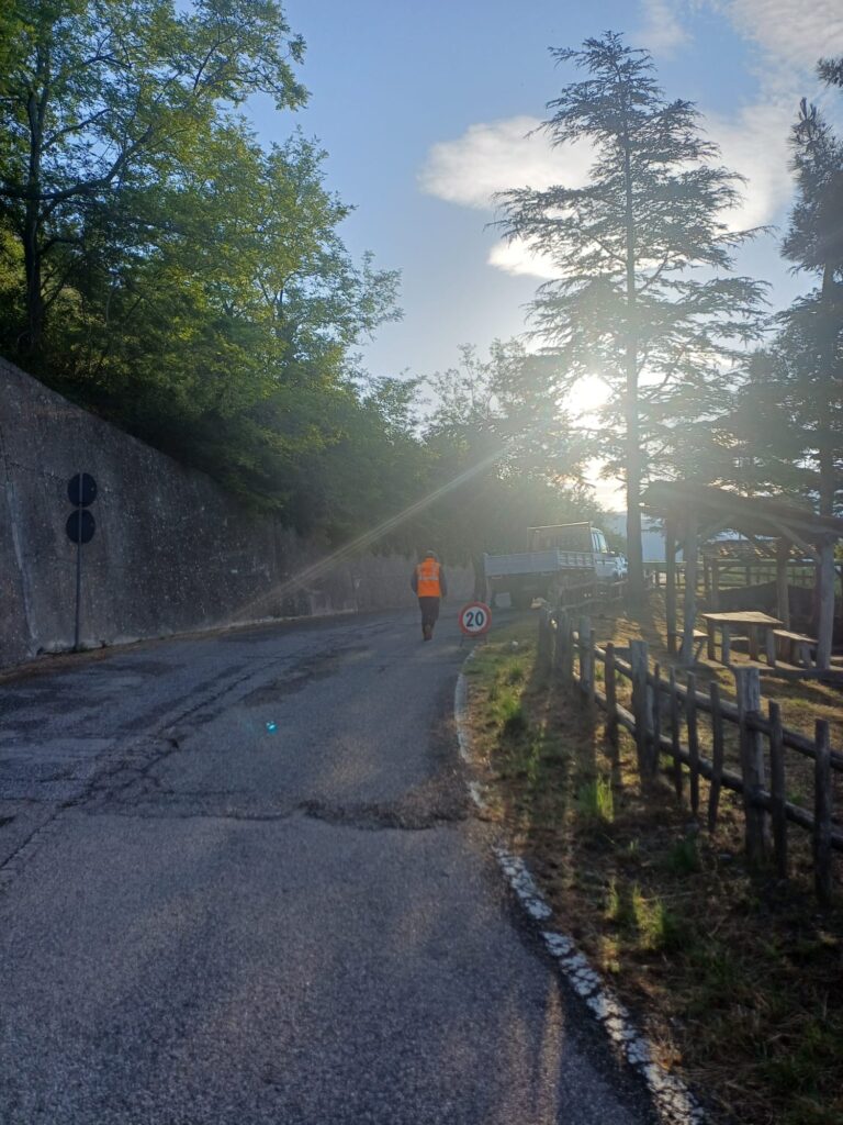 Maxi operazione da 3,7 milioni: nuovi mezzi per la viabilità provinciale di Cosenza 54 Guardia-Piemontese