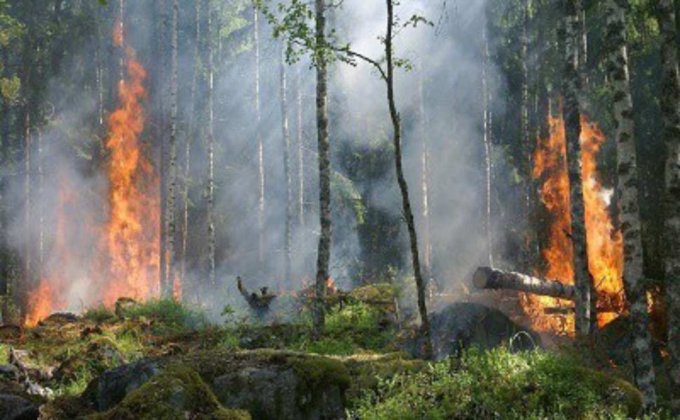 Incendi_Calabria