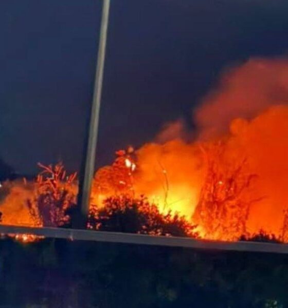 Incendio_baraccopoli_Schiavonea