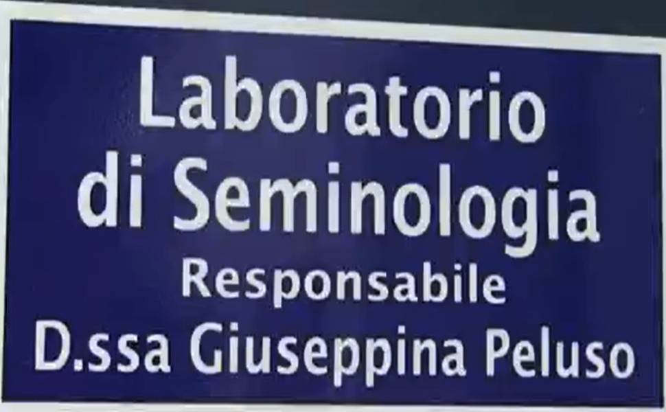 Infertilità maschile, l'allarme della d.ssa Peluso da Cosenza: 50 anni di declino 53 Infertilità maschile - Banca del Seme cosenza - Peluso