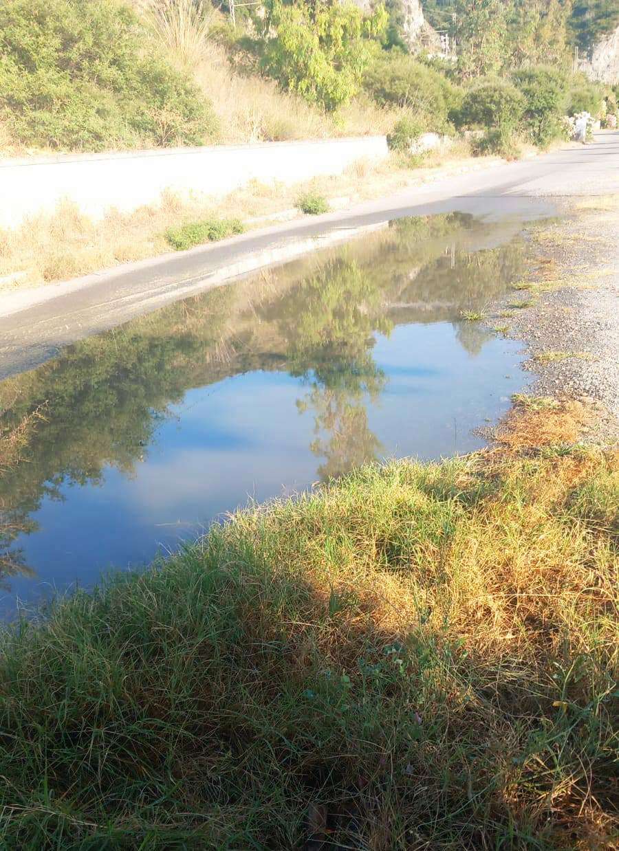 San Nicola Arcella, Italia Nostra «liquami maleodoranti in spiaggia, è una vergogna» 53 Italia Nostra liquami san nicola arcella 01
