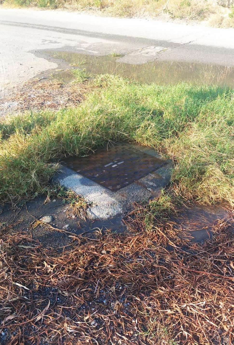 San Nicola Arcella, Italia Nostra «liquami maleodoranti in spiaggia, è una vergogna» 52 Italia Nostra liquami san nicola arcella 02