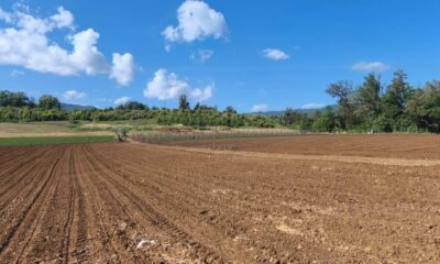 Laino Borgo Santa Gada campagna scavi