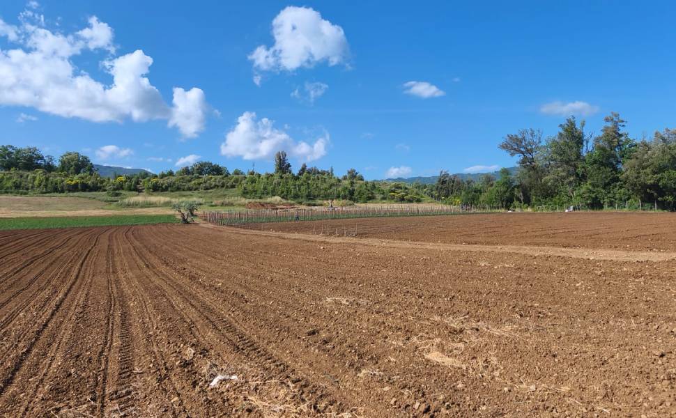 Laino Borgo Santa Gada campagna scavi