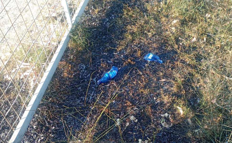Longobucco: tentativo di incendio ai danni dell'azienda agricola della consigliera Lara Grillo 53 Longobucco Lara Grillo tentativo incendio 03
