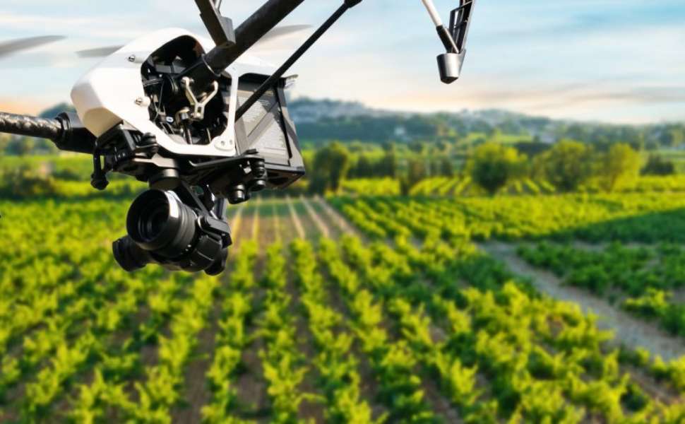 Agricoltura in Calabria, bando da 25 milioni per la meccanizzazione 4.0: droni e robot in campo 52 Meccanizzazione Agricoltura