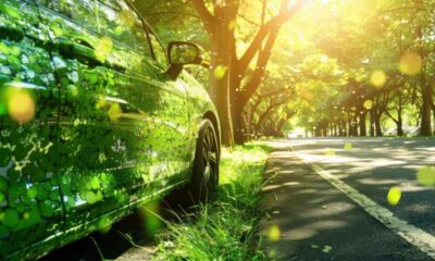 Mobilità green_Calabria