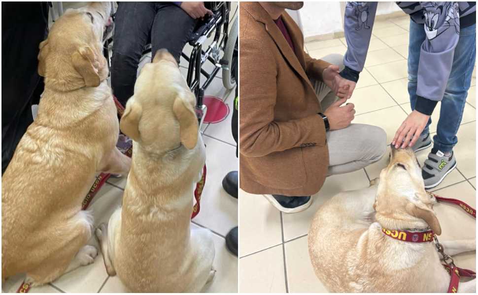 Cassano Ionio, la pet therapy entra in aula con “Zampe che Curano”: laboratori, inclusione e benessere 53 Pet therapy Zampe che Curano 3