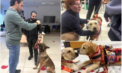Pet therapy_“Zampe che Curano”