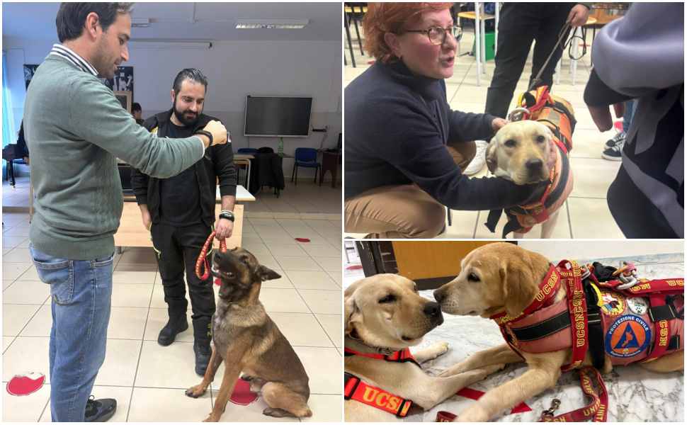 Pet therapy_“Zampe che Curano”