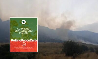 PollinoFuocoZero