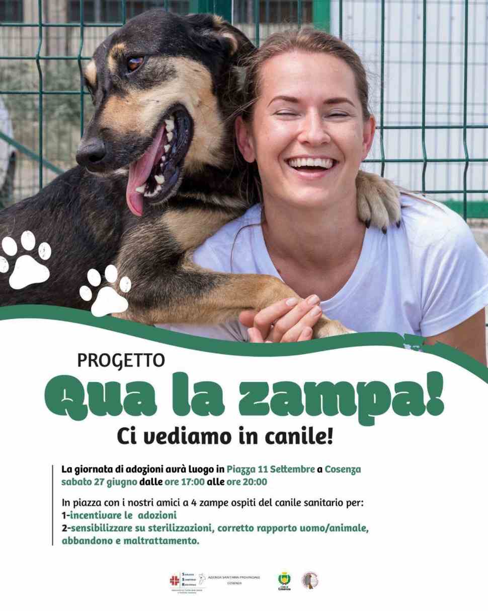 Cosenza, torna "Qua la zampa": una giornata per incentivare le adozioni e contrastare l'abbandono 53 Qua la zampa locandina